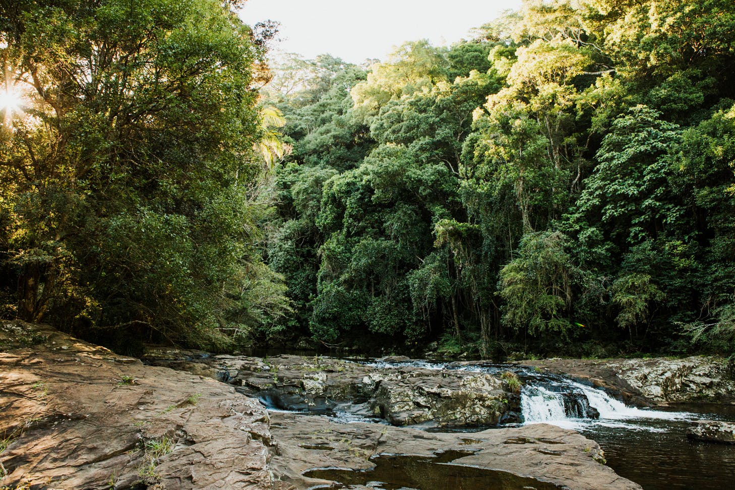 things to do sunshine coast hinterland